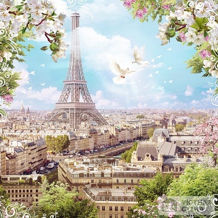 Фотообои Голуби над головокружительным Парижем