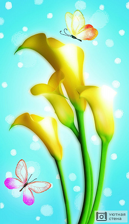 Цветы жёлтой каллы