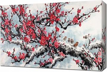Цветущая сакура на белом фоне. Китайская живопись