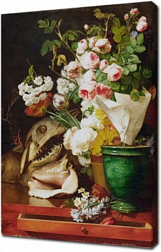 Антуан Бержон — Натюрморт с цветами раковинами и головой акулы