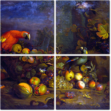 Тобиас Страновер — Попугаи и фрукты с другими птицами и белкой