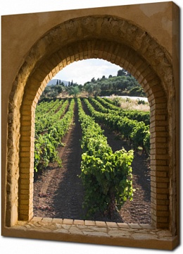 Окно в виде арки с видом на виноградник