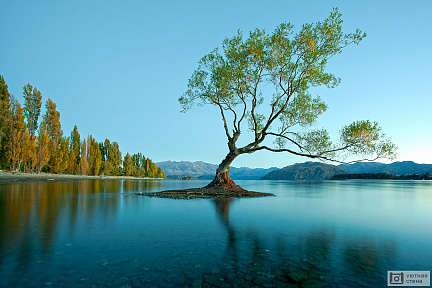 Красочное Озеро Ванака, Новая Зеландия