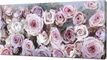 3D Цветные розы
