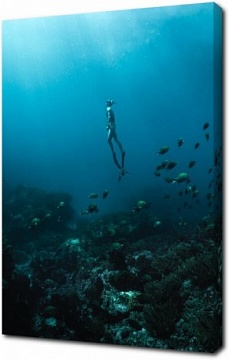 Аквалангист под водой