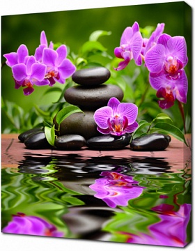 Спа композиция дзен базальтовых камней и орхидея