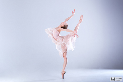 Изящная гибкость балерины