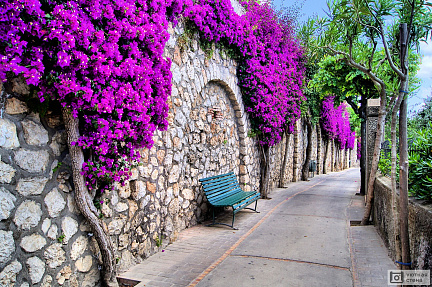 Драпированная стена по пути в Капри. Италия