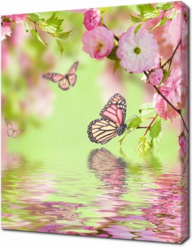 Бабочки на цветущей ветке