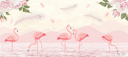 Тонконогие фламинго в воде