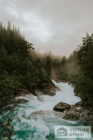 Бурная  река бежит через хвойный лес