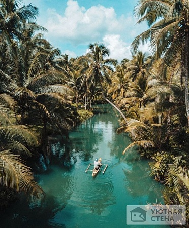 Завораживающая река в джунглях