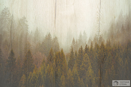 Туманный лес на деревянной фактуре