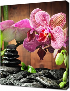 Спа композиция с орхидеями и камнями