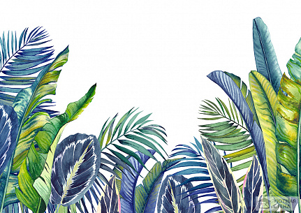 Пушистые пальмовые листья