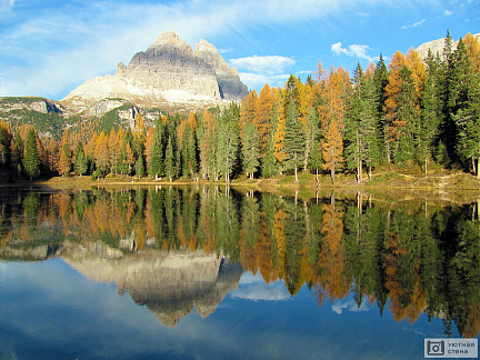 Фотообои Горы за осенними деревьями