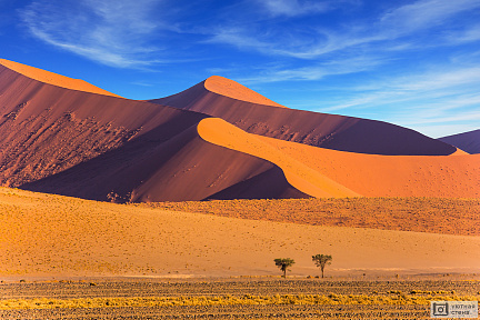 Фотообои Пустыня Намиб