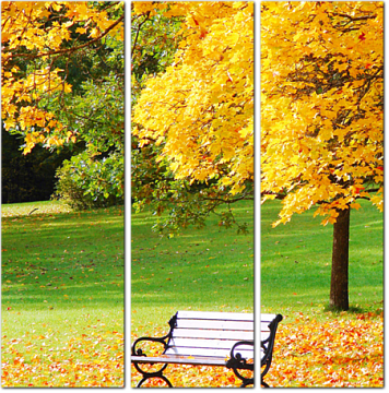 Скамейка рядом с кленом в городском парке осенью