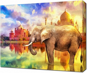 Индийский слон на водопое