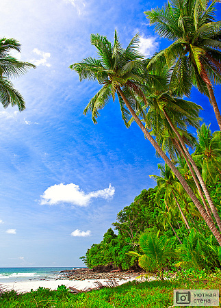 Заброшенный пляж с пальмами