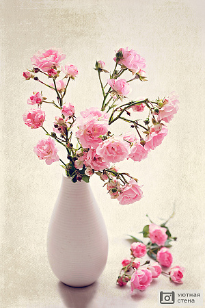 Розовые пионы в белой вазе
