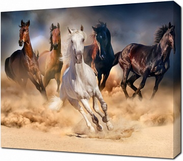 Лошади бегущие по песку