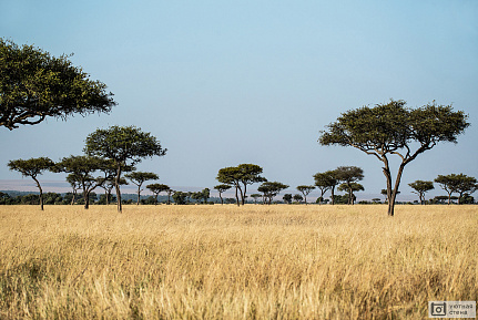 Фотообои Африканские пейзажи