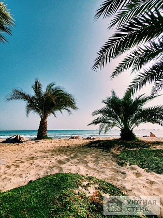Кромка пляжа с пальмами