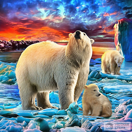 Медведи во льдах
