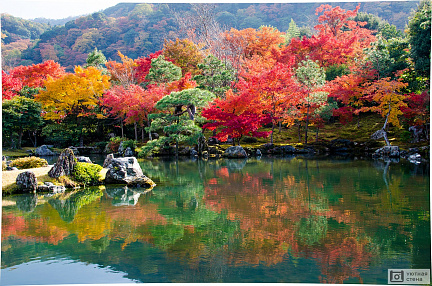 Фотообои Красочные деревья с зеркальным озером осенью в Японии