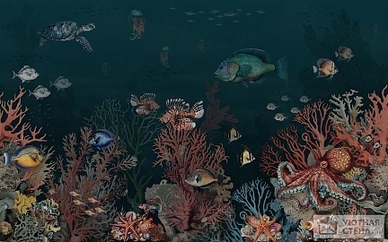 Диковины подводного мира