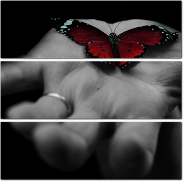 Красная бабочка на черно-белой руке