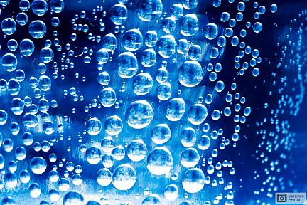 Пузырьки в стакане с водой