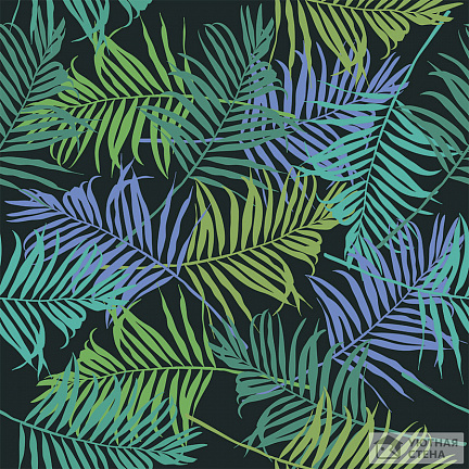 Синие и зеленые листья пальмы на черном фоне