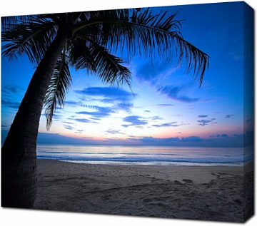 Пляж с пальмой на закате