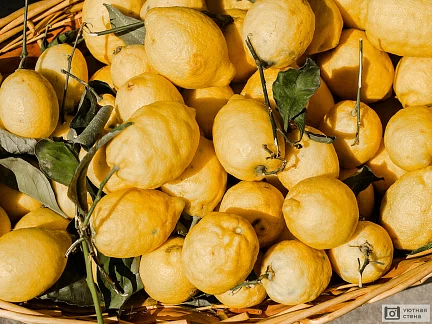 Корзина лимонов