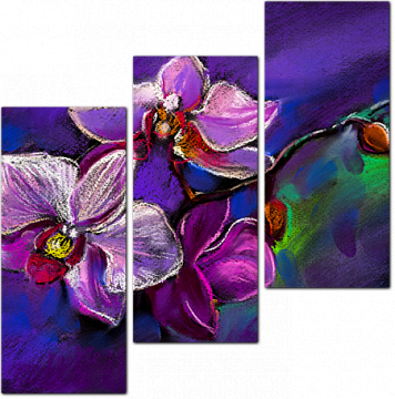 Живописные бело-розовые орхидеи