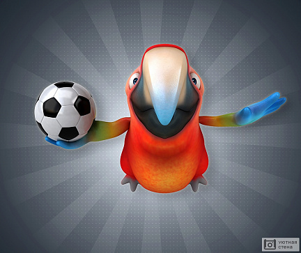 Попугай с футбольным мячом