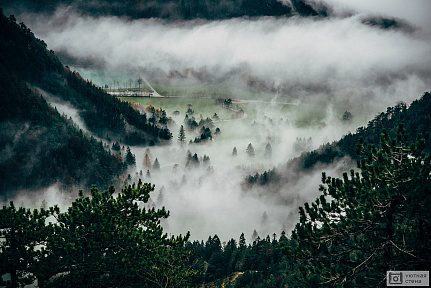Фотообои Долина в тумане