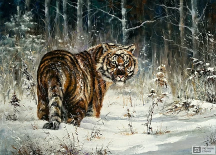 Пейзаж с тигром в зимнем лесу