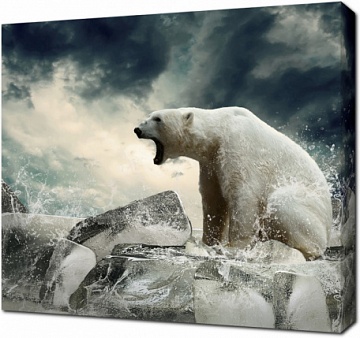 Белый полярный медведь на охоте