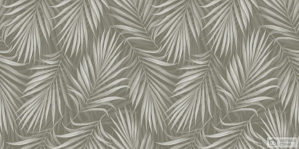 Восхитительные графичные листья пальм