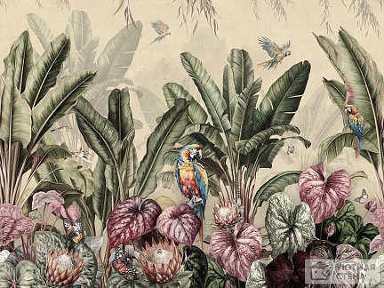 Убежище тропических попугаев