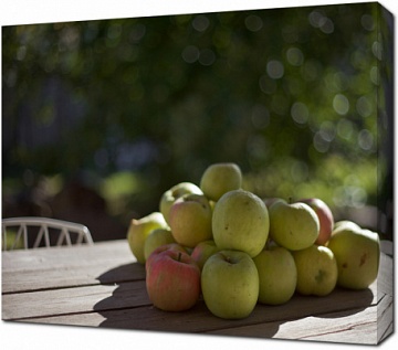Сезонные яблоки в саду