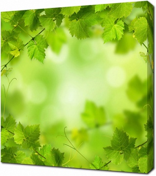 Зеленый фон с листьями