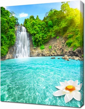 Цветок лотоса в водопаде Вьетнама