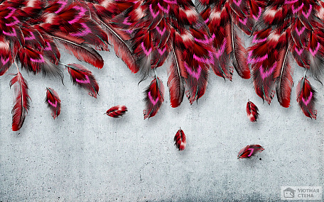 Розово-красные перья на светло-сером фоне