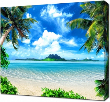 Тропический берег, пляж с пальмами