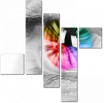 Разноцветный глаз крупным планом на черно-белом фото