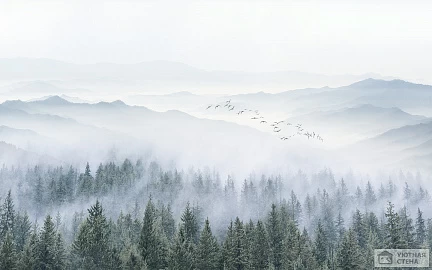 Лес и горы в тумане